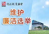 维护廉洁选举 维护廉洁选举